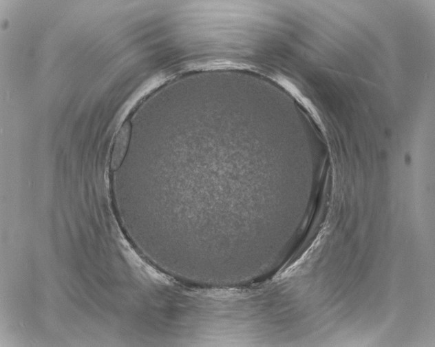 X0000060791189200511171300