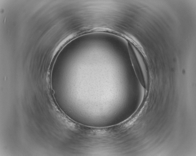 X0000060791190200511171300