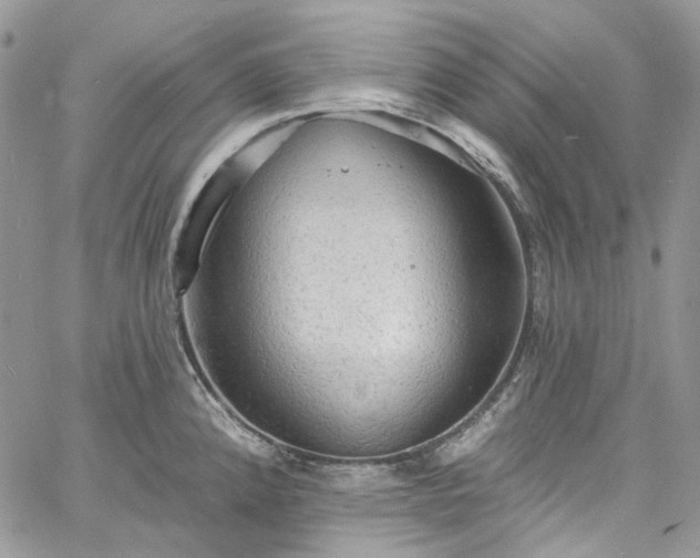 X0000060791192200511171300