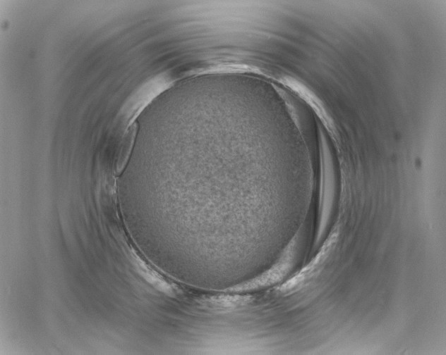 X0000060791193200511171300