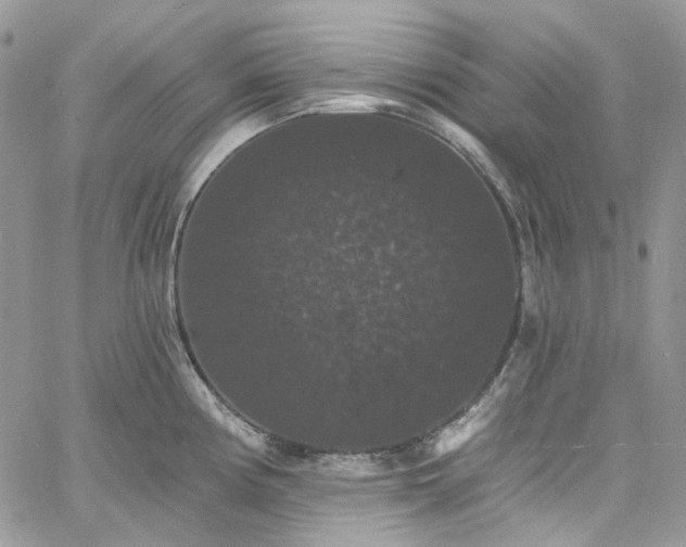 X0000060791194200511171300