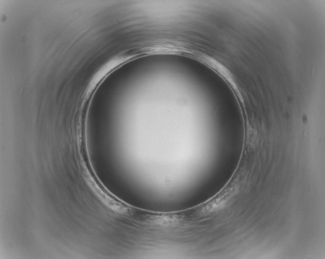 X0000060791195200511171300