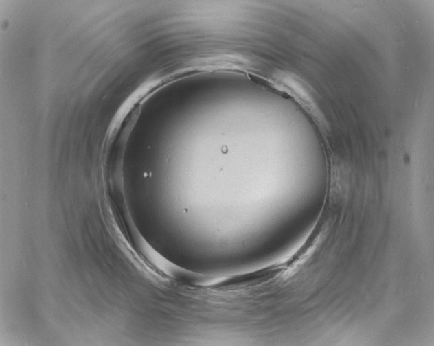 X0000060791196200511171300