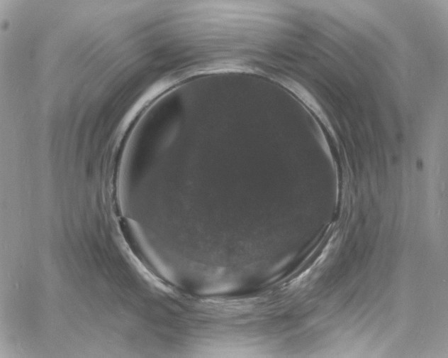 X0000060791197200511171300