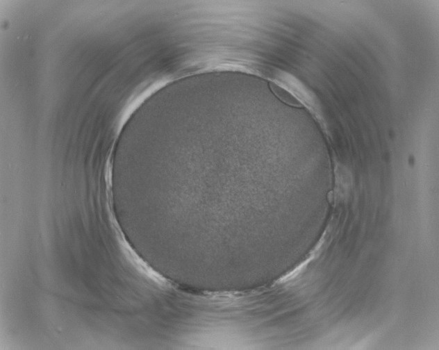 X0000060791198200511171300