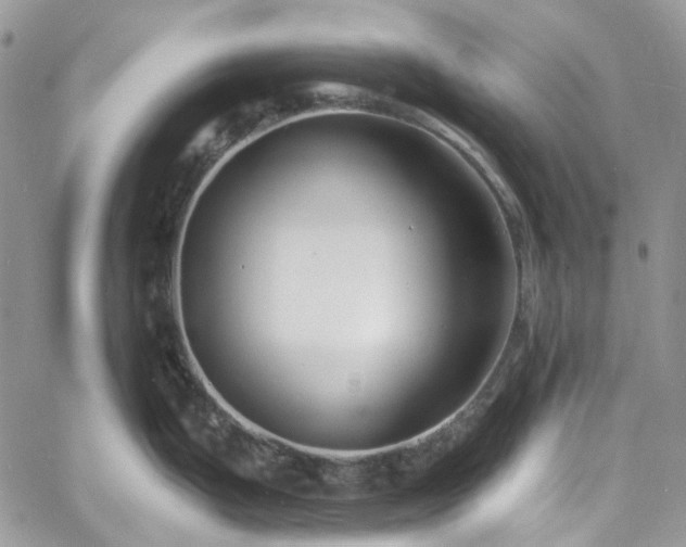 X0000060791199200511171300