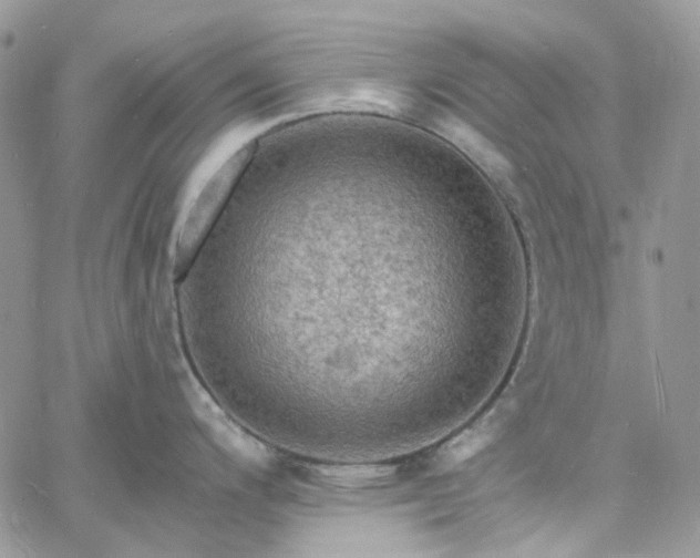 X0000060791200200511171300