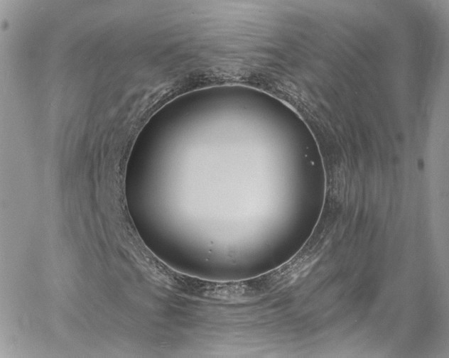 X0000060791201200511171259