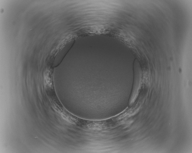 X0000060791202200511171259