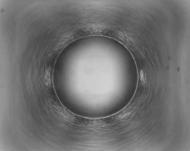 X0000060791203200511171259