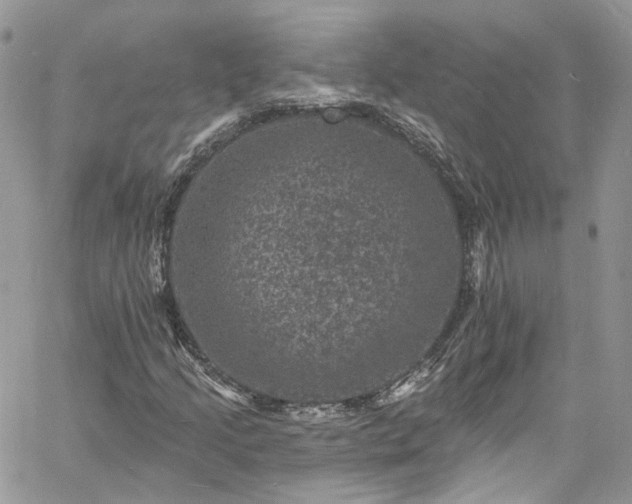 X0000060791205200511171259