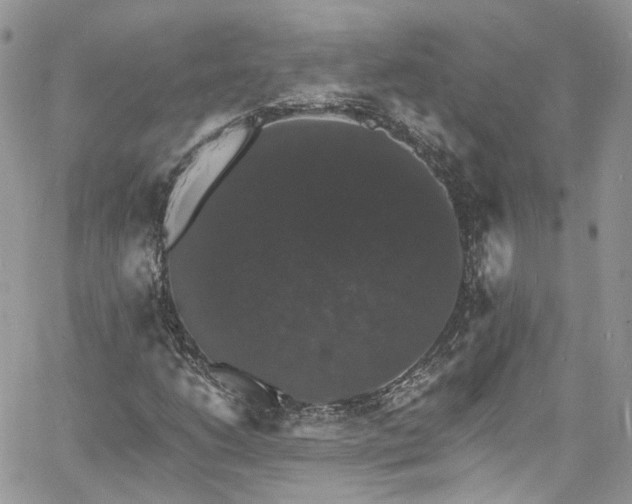 X0000060791206200511171259