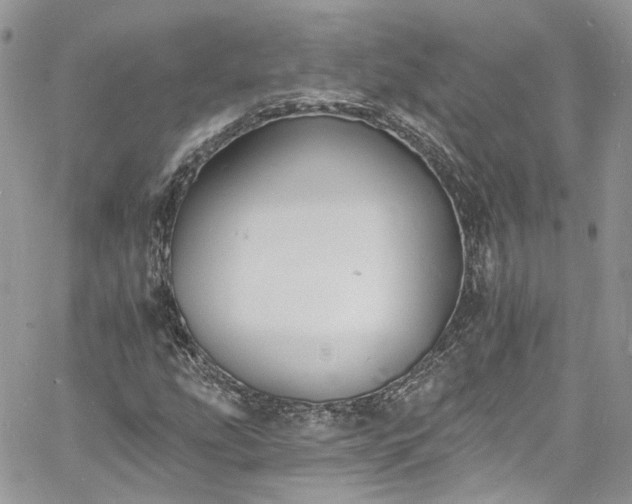 X0000060791207200511171259