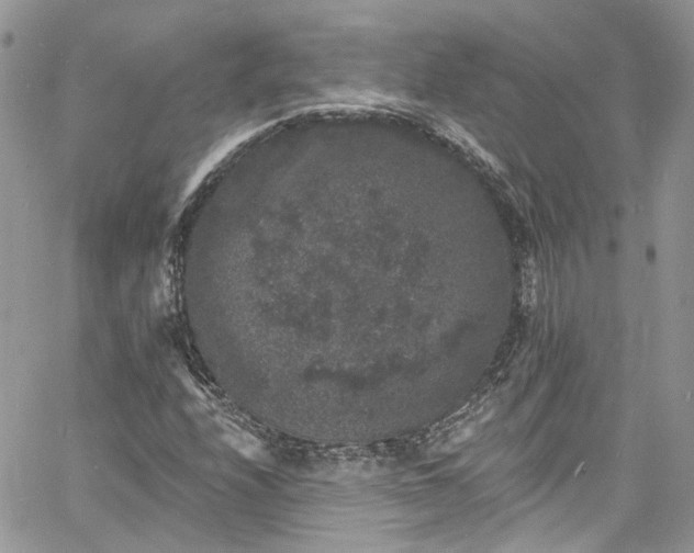 X0000060791208200511171259