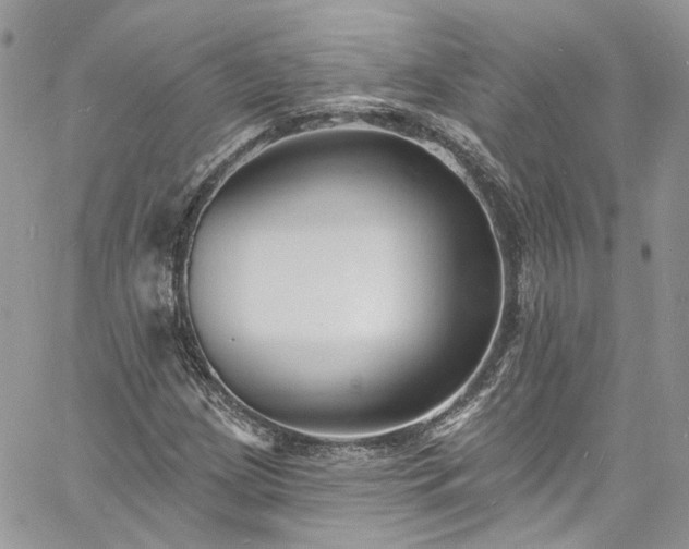 X0000060791209200511171259