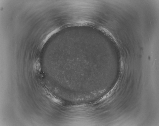 X0000060791210200511171259