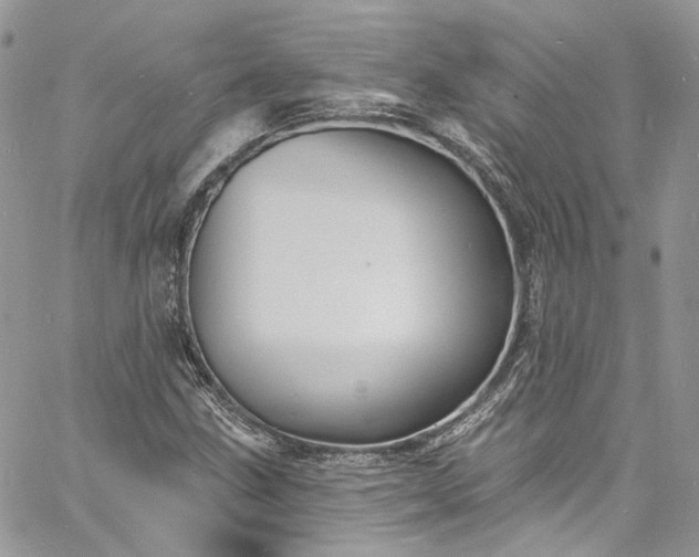 X0000060791211200511171259