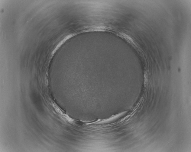 X0000060791212200511171259