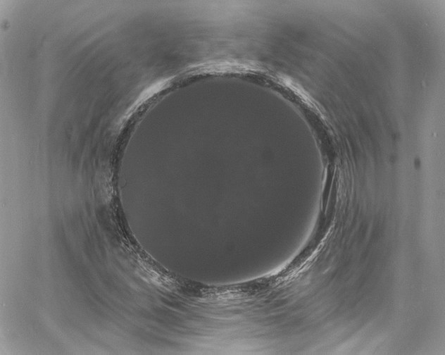 X0000060791213200511171259