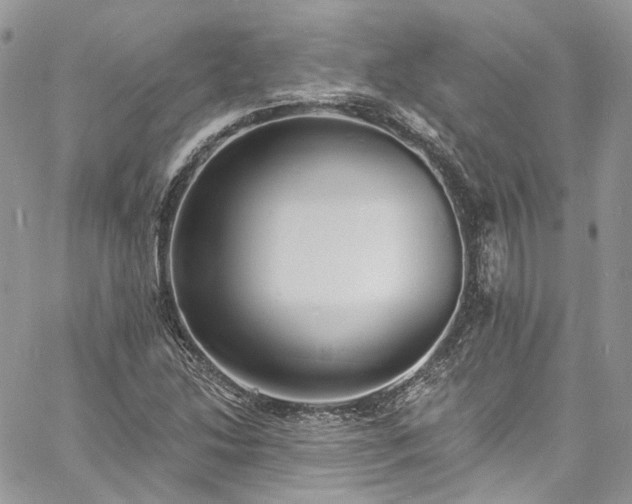 X0000060791214200511171259