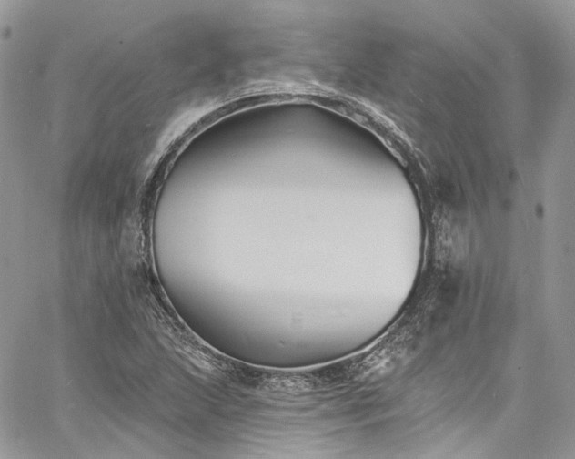 X0000060791215200511171259