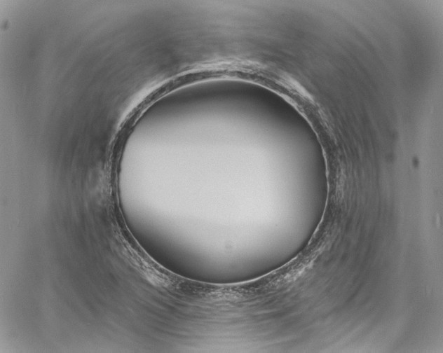 X0000060791216200511171259