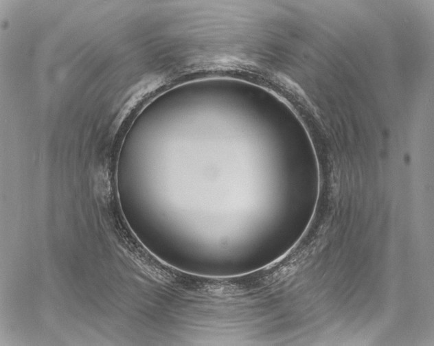 X0000060791218200511171259