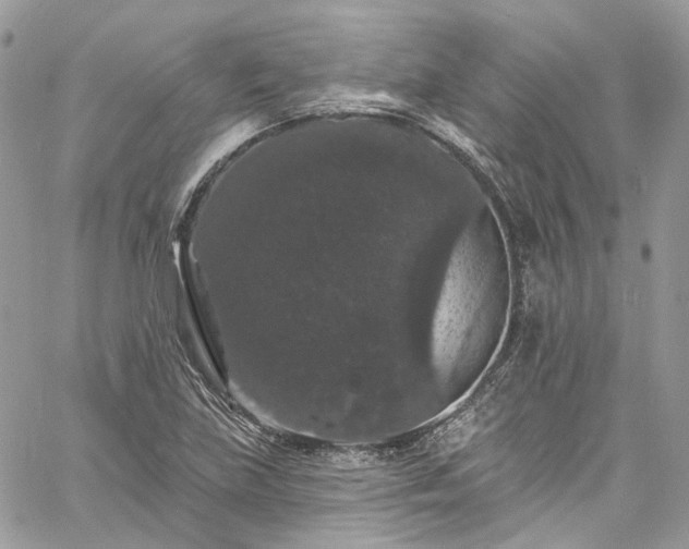 X0000060791219200511171259