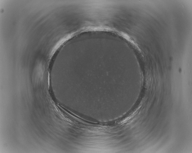 X0000060791221200511171300