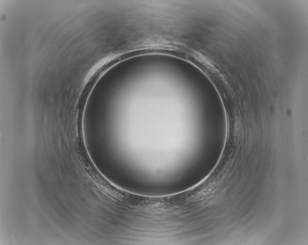 X0000060791222200511171300