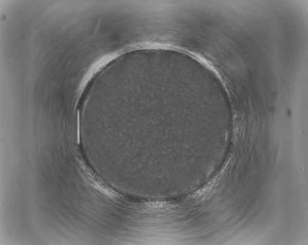 X0000060791223200511171300