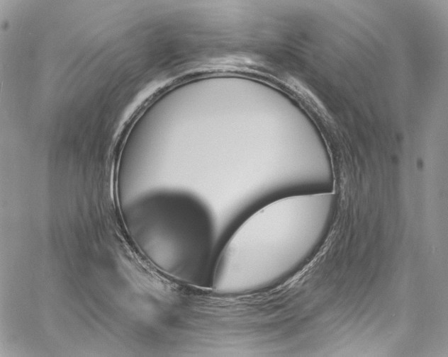 X0000060791224200511171300