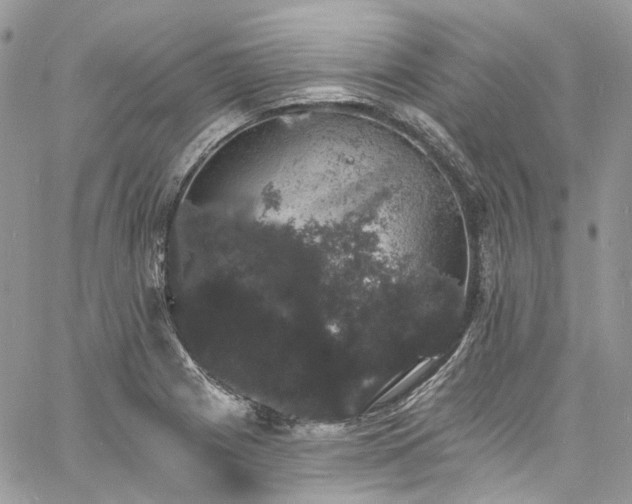 X0000060791225200511171300