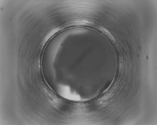 X0000060791226200511171300