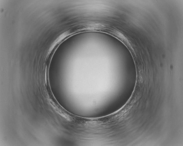 X0000060791227200511171300