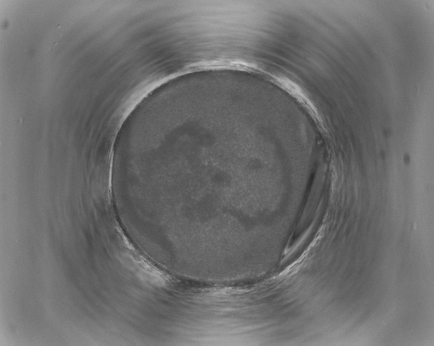 X0000060791228200511171300