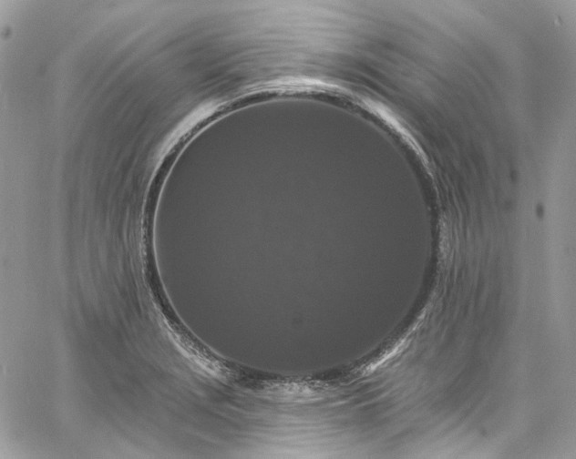 X0000060791229200511171300