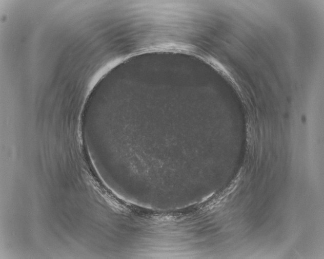 X0000060791230200511171300