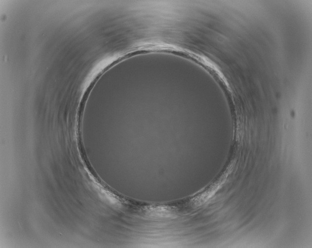 X0000060791231200511171300