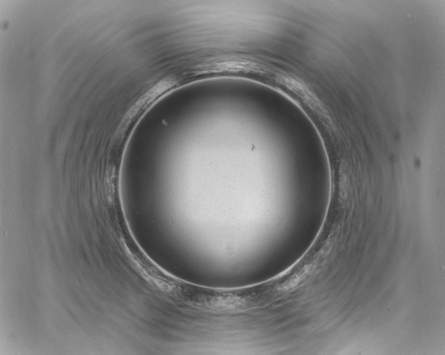 X0000060791233200511171300