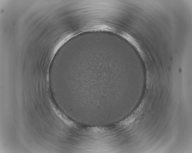 X0000060791234200511171300