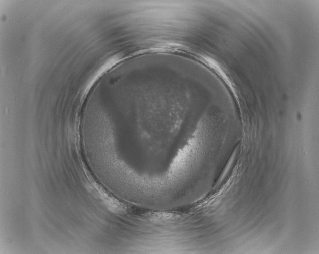 X0000060791235200511171300