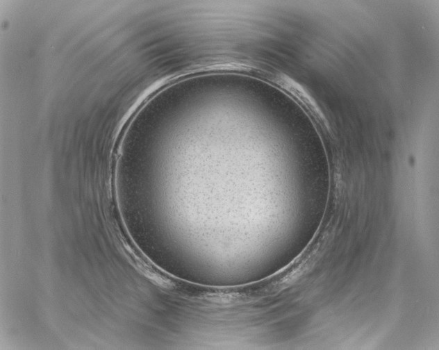 X0000060791236200511171300