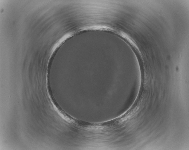 X0000060791237200511171300