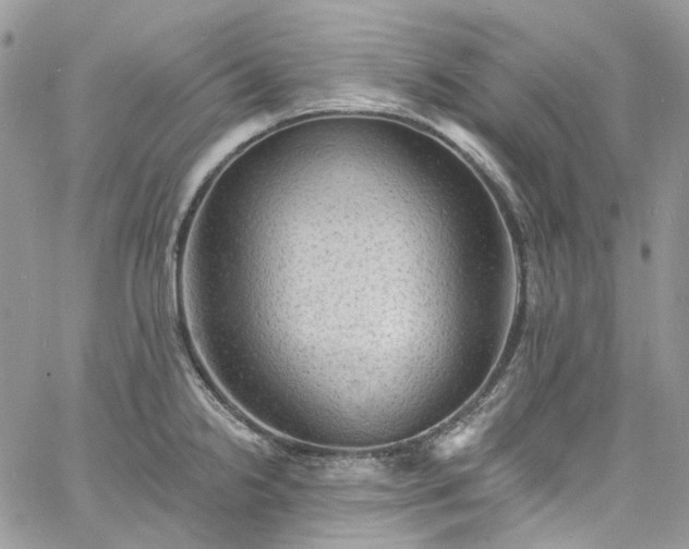 X0000060791238200511171300