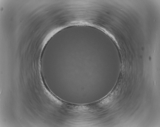 X0000060791239200511171300