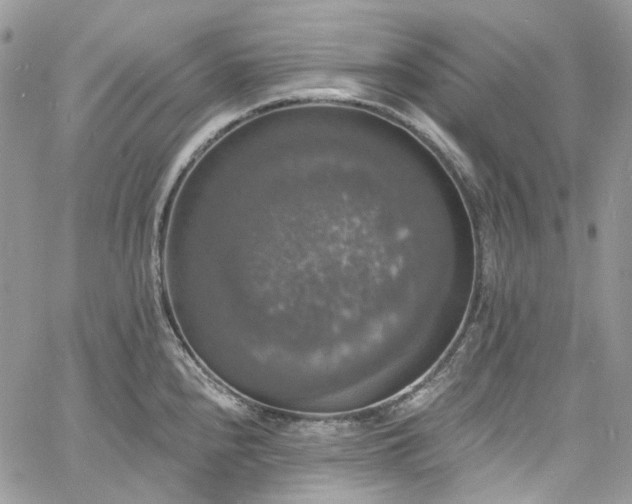 X0000060791240200511171300