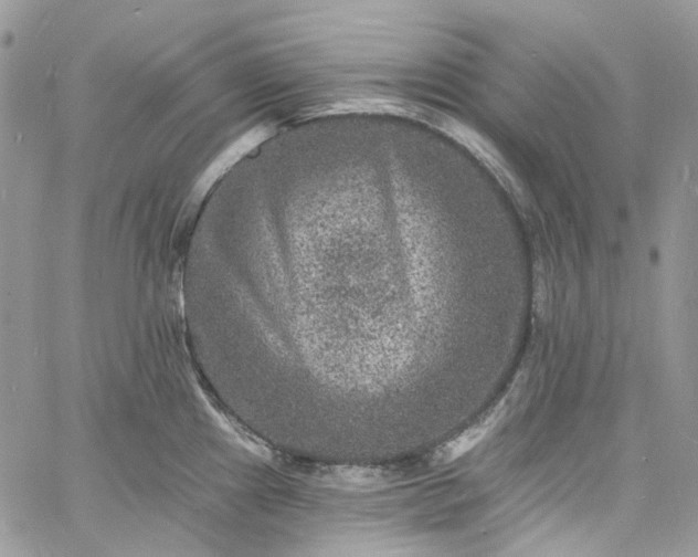 X0000060791241200511171300