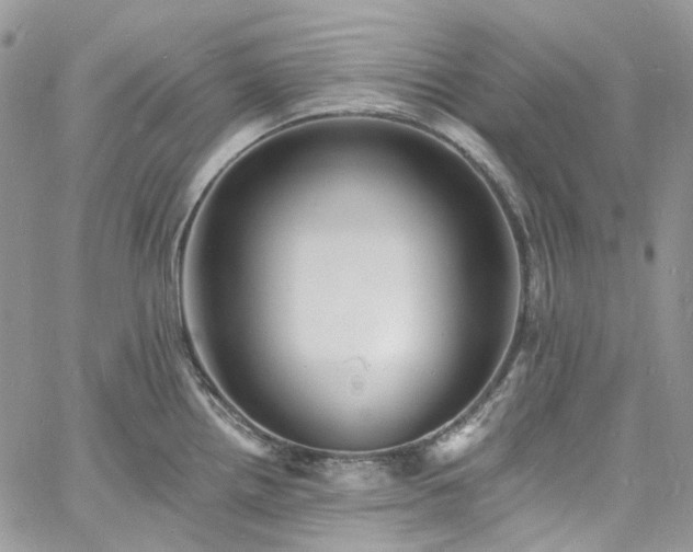 X0000060791242200511171300