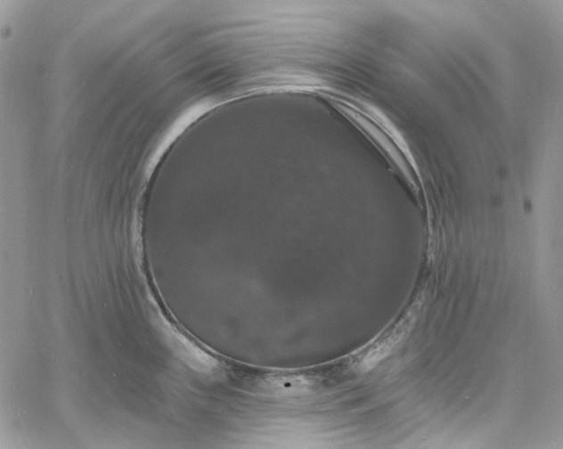 X0000060791243200511171300